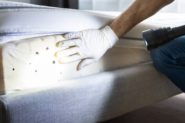 Best Pest Prevention Services  in Goodview, MN