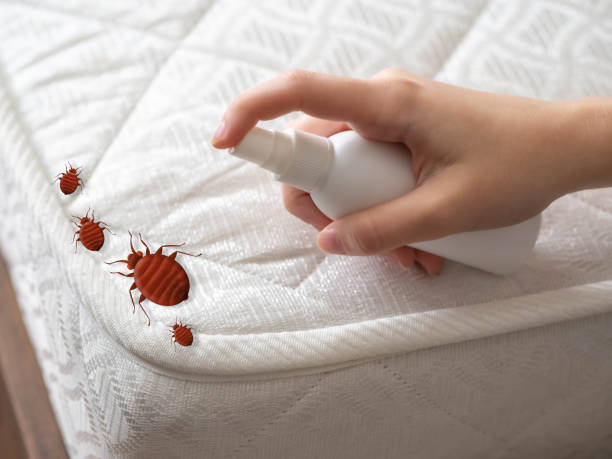 Best Flea Control Services  in Goodview, MN