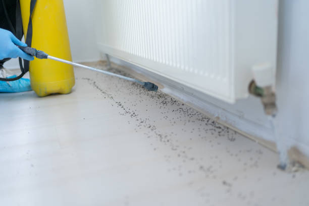 Best Insect Control  in Goodview, MN